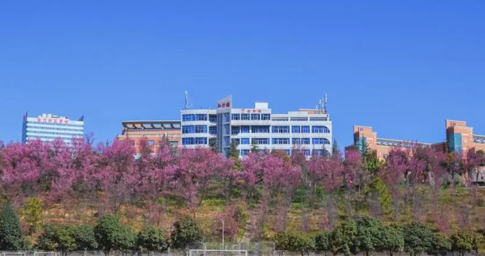 云南省电子信息高级技工学校里面有小吃吗